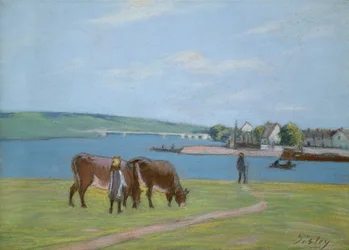 Vaches sur les rives de la Seine à Saint-Mammès